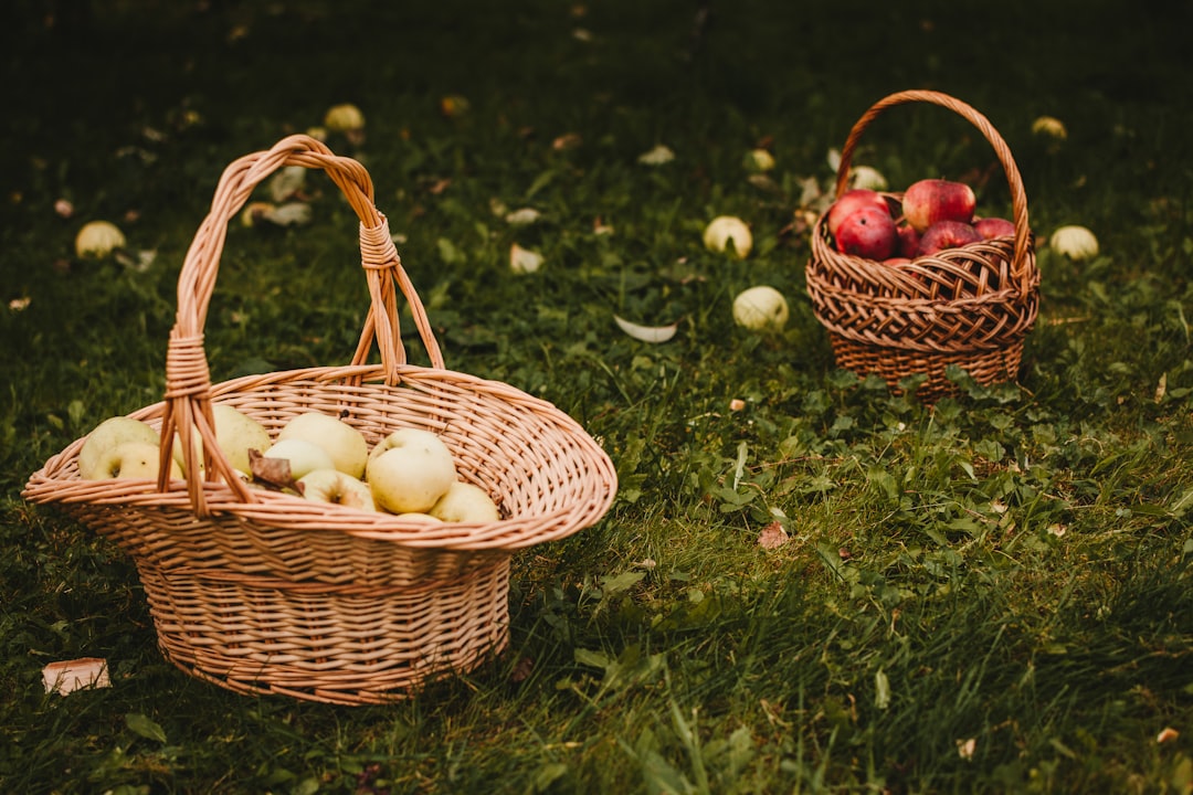 Photo Fruit basket