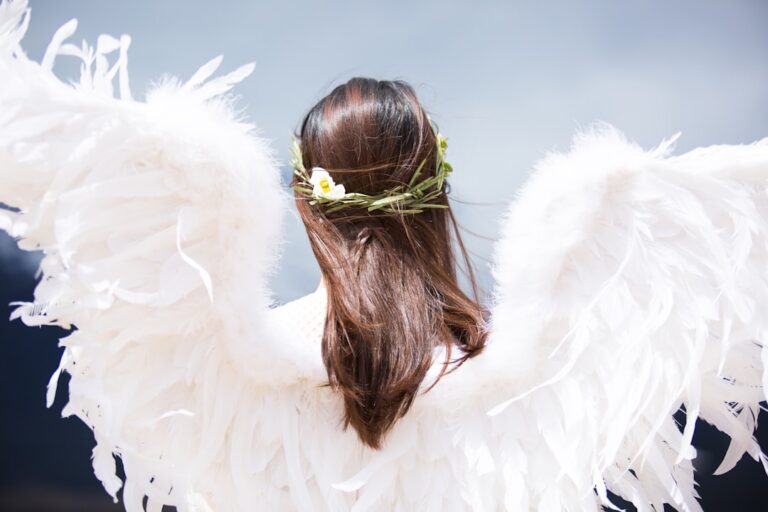 Photo Angel wings